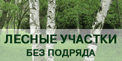 Лесные участки без подряда