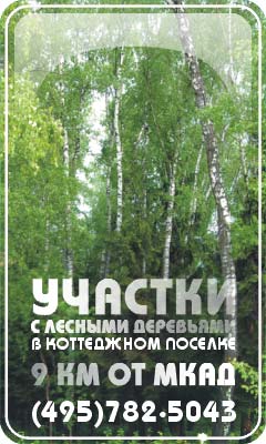 Участки с лесными деревьями